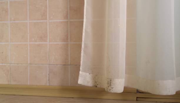 Dehumidification Services in Pemberwick, CT