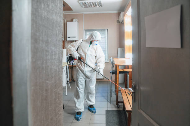 Best Dehumidification Services  in Pemberwick, CT